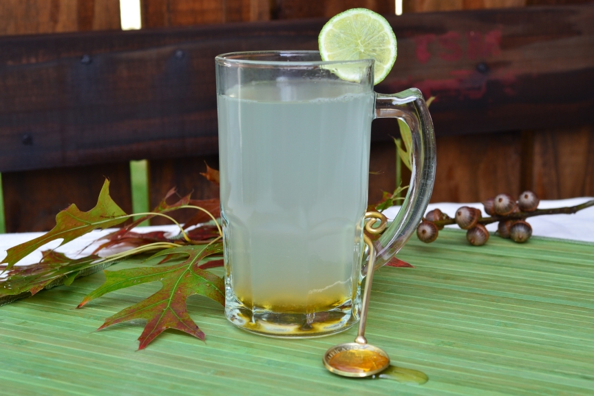 Ginger, lemon, honey tea remedy for flu and colds